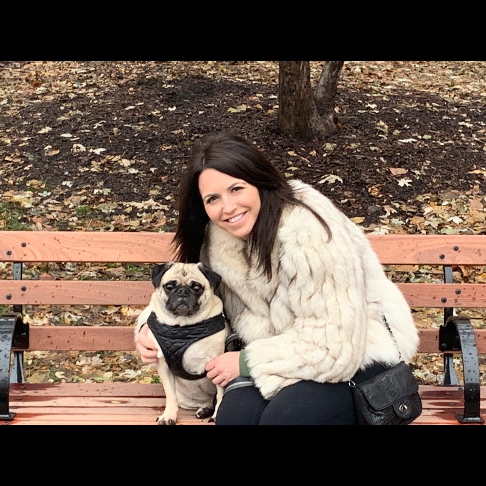 Meet your Posher, Jasper